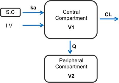 Pharmacokinetic Modeling of Ceftiofur Sodium Using Non-linear Mixed-Effects in Healthy Beagle Dogs